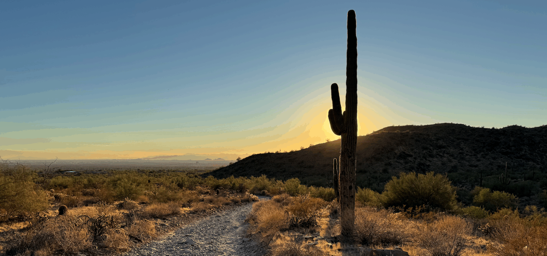 Notas Del Casa Bandito